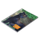 Buscar el libro de la selva libretas Bagheera