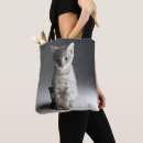 Buscar gatito del tabby bolsos Gato