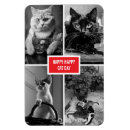 Buscar gatos negros imanes General y unisex