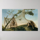 Buscar cebo posters Animal
