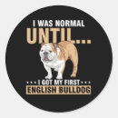 Buscar bulldog inglés pegatinas Amantes del perro