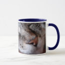 Buscar cubiletes tazas Café