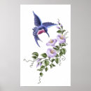 Buscar colibríes arte Bonito