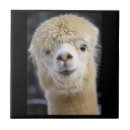 Buscar alpaca azulejos Adorable
