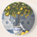 Buscar mediterráneo posavasos Botánico