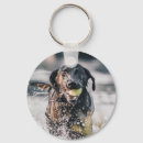 Buscar labrador negro llaveros Lindo