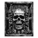 Buscar calavera fotografía Espeluznante