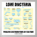 Buscar distribuidor posters General y unisex