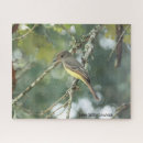 Buscar parachoque puzzles Pájaro