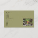 Buscar fairy tarjetas de visita Hadas