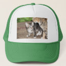 Buscar gatito gorras 9 º gata