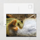 Buscar serpiente salvaje postales Reptil