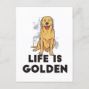 Buscar golden retriever postales Amante de los perros