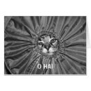 Buscar del lolcat Animales