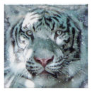 Buscar mascotas General y unisex