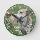 Buscar outdoor relojes de pared Para todos