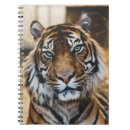 Buscar tiger cuadernos Naturaleza