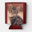 Buscar minino Gato