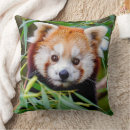Buscar oso panda cojines Verde
