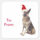 Buscar tags pegatinas Perro