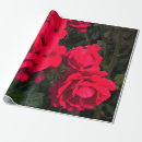 Buscar rosario papel de regalo Para todos