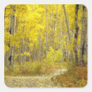 Buscar carreteras pegatinas Otoño