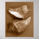 Buscar sensual arte Fotografía