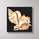 Buscar fondo del mar posters Costero