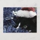 Buscar mejillas postales Para todos