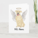 Buscar mi pitbull tarjetas Para mascotas