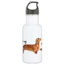 Buscar weiner casa hogar Dachsie