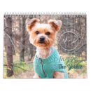 Buscar terrier de yorkshire calendarios Adorable