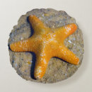 Buscar arena playa cojines Verano