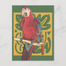 Buscar loro rojo postales Tropical
