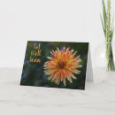 Buscar recibo tarjetas Flor