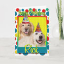 Buscar perros perdigueros de oro tarjetas Goldens