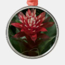 Buscar ornamentos rojos Navidades