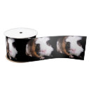 Buscar india cintas Animal