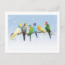 Buscar paracaídas postales Pájaros