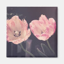 Buscar natura imanes Flores