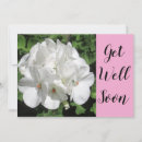 Buscar get well soon fotografía Mejórate