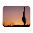 Buscar cactus del saguaro imanes Fotografía