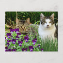 Buscar photo collage postales General y unisex