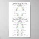 Buscar dentales posters Para todos