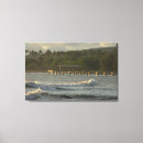 Buscar hawaii lienzos Costa