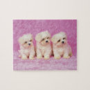 Buscar pequeño perro puzzles Adorable