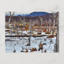 Buscar tierra del fuego postales General y unisex