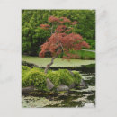 Buscar jardines japoneses postales Jardín