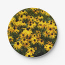 Buscar susans fotografía Flores amarillas