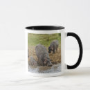 Buscar hippopotamuses tazas África